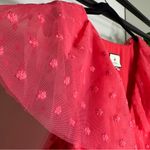 FLAWED Tuckernuck Poppy Pink Tulle Giselle Gown Floral Embroidered size L Large Photo 10