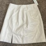 Francesca's Skirt Photo 0