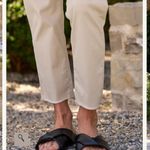Frank & Eileen Wicklow Italian Chino in Khaki Size 6 Photo 3
