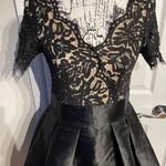 Lucy Wang Fay Eyelash Lace Taffeta Pleated Skater structured skirt Short Sleeve V-Neck Dress Sz XL Photo 2