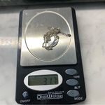 December Birth Month Flower Holly Necklace 925 Sterling Silver 19” Photo 6