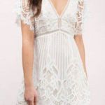 Tobi Lina White Lace Skater Dress Photo 0