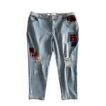 Lane Bryant Mid Rise Boyfriend Fit Distressed Jeans Size 22 Photo 4