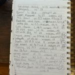 CARVEN SILK LACE DRESS Size 4 Photo 6