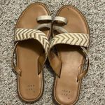 A New Day  sandals  Photo 0