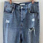 PacSun Pacific Sunwear Dad Jean Distressed Denim 30 Photo 3
