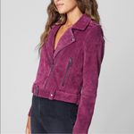 BLANK NYC  Suede Moto Jacket Fuchsia Size Small Photo 2