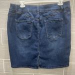 Vintage violet Distressed Blue Denim Stretch skirt Women's 3X Purple Size undefined Photo 1