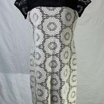 London Times Crochet Overlay Cream and Black Block Yoke Dress Size 12 Photo 0