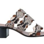 Chloé Chloe Eternal Grey Leather Scalloped Tripstraps Chunky Heels Sandals Size 36 US6 Photo 0