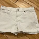 Vineyard Vines Short Photo 0