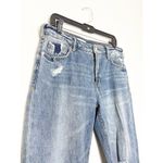 Anthropologie Pilcro The Heritage Boyfriend Jeans Size 28 Mid Rise Crop Distress Photo 7