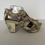 Earthies Sandles Santiago Beige Snake Embossed Leather Studded Edgy Animal 8 B Tan Photo 1