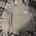 The North Face  cropped Hoodie Photo 0