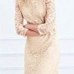 Garnet Hill Gold Sheath Dress 3/4 Sleeve Crew Neck Photo 0