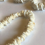 Puka Shell Vintage Necklace Bracelet & Pierced Earrings Set White Photo 6