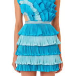 Eliya the Label Josephine Mini Ruffle Dress Blue size XS Photo 0