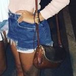 Levi’s High Waisted Jean Shorts Photo 0