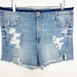American Eagle NWT  Outfitters Super High Rise Shortie Jean Denim Shorts 18 34W Photo 0