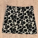 IZOD  Size 4 skirt Photo 0