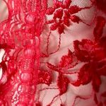 Cacique Coral Pink Sheer Lace Teddy Bodysuit Bow Tie Lingerie Size Large Photo 1