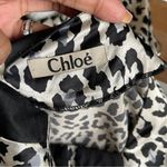 Chloé CHLOE | Animal Print Silk Dress Sz M Photo 4