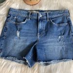 Anthropologie pilcro & the letterpress - slim boyfriend jean shorts Photo 0