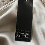 Adrianna Papell  Pewter Silk Maxi Skirt Photo 4