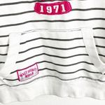 Disney  PARKS Authentic Striped Hooded Kangaroo Pocket Sweatshirt, Size Small Photo 12
