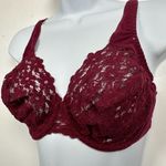 Maidenform Vintage 34D Bra Lace Burgundy Plunge 3229 Cotton Conuture See Through Photo 5