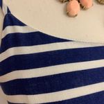 J.Crew Fit & Flare Striped Dress NWT Photo 1