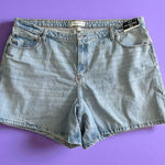Abercrombie & Fitch  High Rise Denim The Loose Short Size 22 PLUS NEW NWT Photo 0