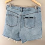 Arula denim shorts Blue Size 10 Photo 2