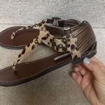 Steve Madden Sandals Photo 1