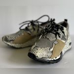 Steve Madden  Cliff Sneakers. Photo 11