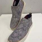 Toms Paxton Snake Print Slip On Sneakers - Size 8.5 Photo 1