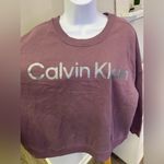 Calvin Klein NWT Performance Mauve and Glitter Logo Sweat Shirt Plus Size 2X Photo 3