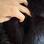 Banana Republic Women's  VEST Size S BLACK FAUX FUR FRONT POCKETS Photo 7