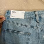 American Eagle NWT  Distressed Relaxed Mom Shorts 4 27 Photo 2