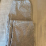 Aritzia  Sweatfleece Sweatpants Mega Fit Photo 0