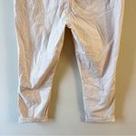 Anthropologie Pilcro and the Letterpress Blush Striped Cropped Pant Size 30 Photo 10