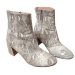 Urban Outfitters  Thelma Ankle Bootie Block Heel Snakeskin Print Gray Size US 8 Photo 0