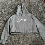 AYBL  cropped hoodie size medium Photo 0