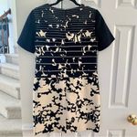 Anthropologie  4.Collective Black & Cream Mini Dress Stripe & Floral Print Photo 4