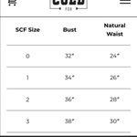 Stone Cold Fox  Don Diego Silk Dress Photo 4