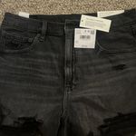 American Eagle Shorts Photo 0