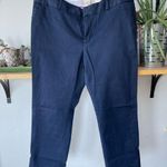 Banana Republic Navy Blue Hampton Pant Size 10P Photo 0