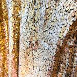 NWT Lulus Luxe Gold Sequin Cutout Bodycon Mini Dress. Size L Photo 7