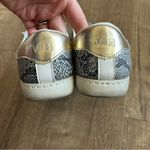 Vintage Havana Bianca Sneaker Grey Snakeskin Black Glitter Star 7 Gray Photo 4