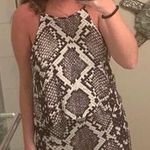 Abbeline snakeskin romper Photo 0